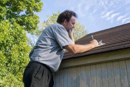 Chimneyinspections